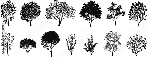 Black and white tree and shrub silhouette vector set with varied botanical forms for nature, landscape, and design themes