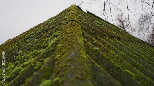 Old asbestos roof covered with thick vibrant green moss on gloomy autumn day with parallax camera movement creating calm atmospheric natural texture shot for nature decay environmental themes