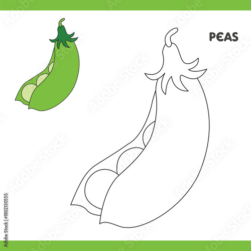 Peas Copy Colour worksheet for kids