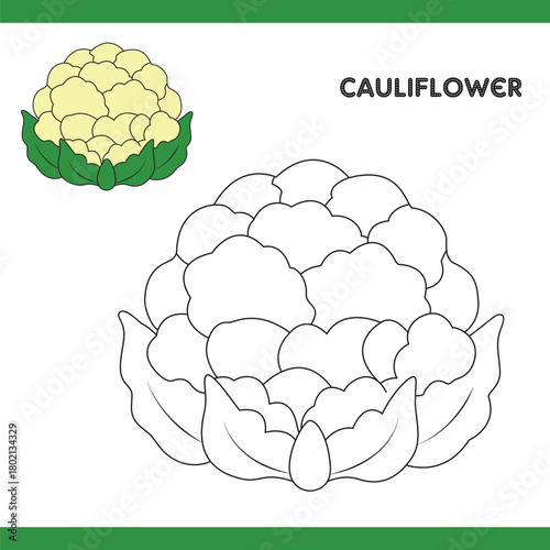 Cauliflower Copy Colour worksheet for kids