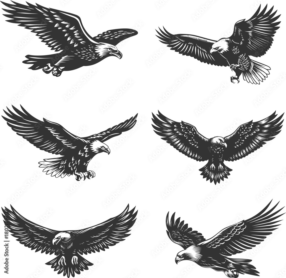 Fototapeta premium Set illustrations of flying eagle isolated on transparent background. Vector graphics
