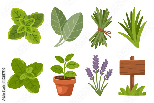 Diverse collection of fresh culinary and aromatic garden herbs, including mint, basil, lavender, rosemary, sage, and a blank wooden sign for nature concepts.