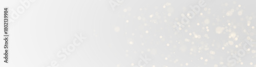 Bright Abstract Night Glow with Sparkling Dust, Transparent Bokeh Shine, Christmas Light Flare and Shiny Overlay for Festive Backgrounds