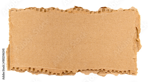 Piece of torn cardboard on a white background. Torn cardboard isolate