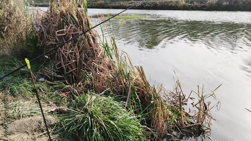 fishing stick in the river
