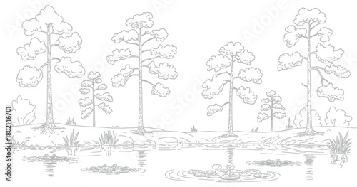 Create architectural drawings, minimal style cad tree line drawing, side view, set of section wetland forest outline for landscape design drawing, clean vector elements suitable for garden planning, s