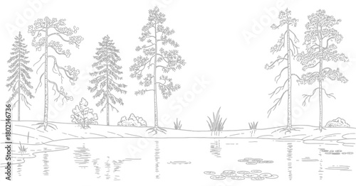 Create architectural drawings, minimal style cad tree line drawing, side view, set of section wetland forest outline for landscape design drawing, clean vector elements suitable for garden planning, s