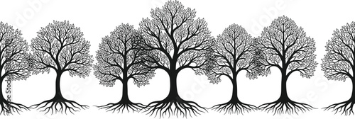 Stylized tree silhouette illustration, seven deciduous trees with unique branching patterns and visible root systems, black vector nature artwork design