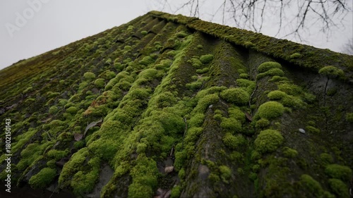 Old asbestos roof covered with thick vibrant green moss on gloomy autumn day with parallax camera movement creating calm atmospheric natural texture shot for nature decay environmental themes