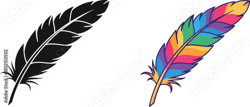 Two feathers displayed one black and white the other vividly colorful