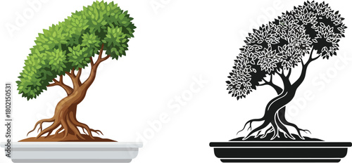 Contrasting bonsai trees a vibrant leafy specimen and its grayscale counterpart