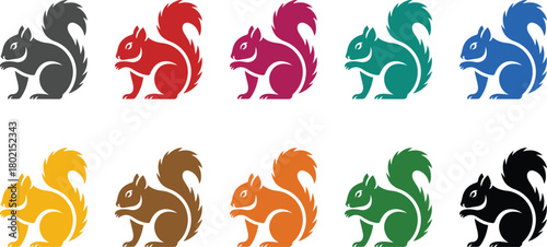 Colorful squirrel icons in different poses animal, Multicolor squirrel illustrations