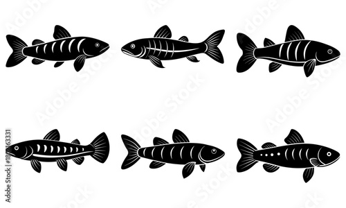 Six black fish illustrations with unique fin and body markings on a white background arranged in two rows