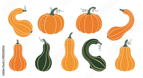 A colorful collection of stylized pumpkins and gourds in shades of orange and green, perfect for autumn and fall-themed designs and illustrations.