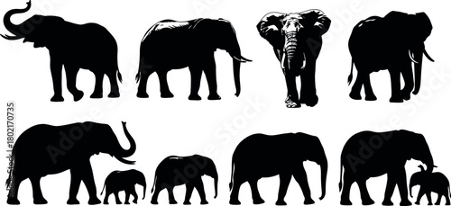 Collection of african elephant silhouettes in various poses against a white background