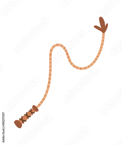 Lasso vintage cowboy whip element