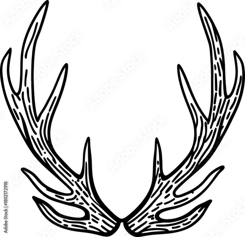 Symmetrical deer antlers isolated, black outline  wild animal horns, hunting or nature symbol icon illustration