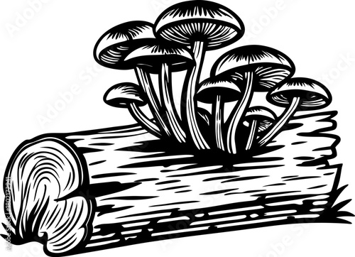 Mushrooms growing on fallen tree log fungi cluster, nature wood decomposition, forest ecosystem illustration