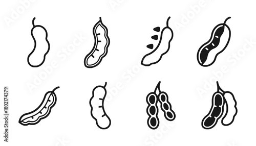 Illustration of various bean pods in black and white line drawings