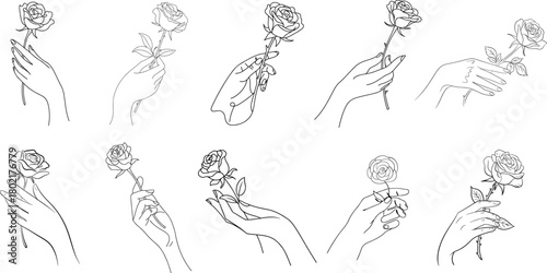 Drawing of a Beautiful woman hand holding flower of rose line art collection, outline sketch line art design on white background.