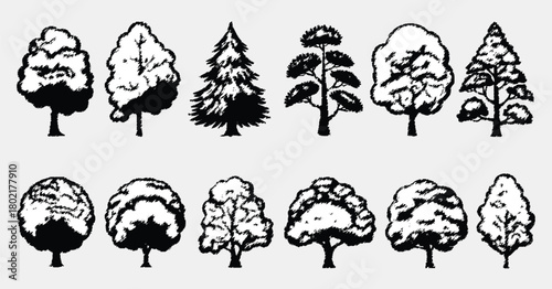 CAD tree line drawing, side view, set of graphics trees elements, tree sketches, silhouette tree vector element, detailed vector collection suitable for architects, landscape designers, garden plannin