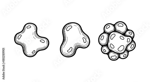 Hand drawn abstract organic shapes set for creative design projects