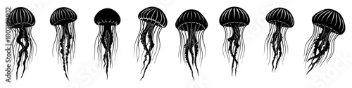 jellyfish silhouette collection marine animal icons