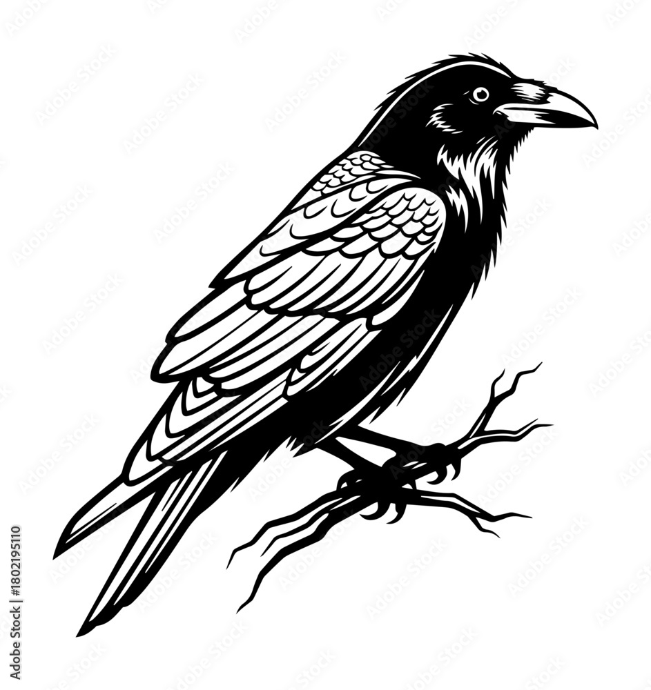 Fototapeta premium raven perched on a branch vintage gothic illustration