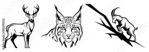 wild mountain animals collection deer lynx goat vector