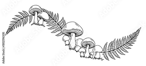 hand drawn mushrooms and fern leaves decorative composition