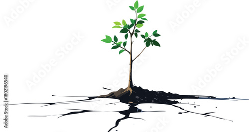 Young Tree Sapling Emerging from Cracked Asphalt Isolated for Urban Renewal, Nature Rebirth, and Environmental Concepts