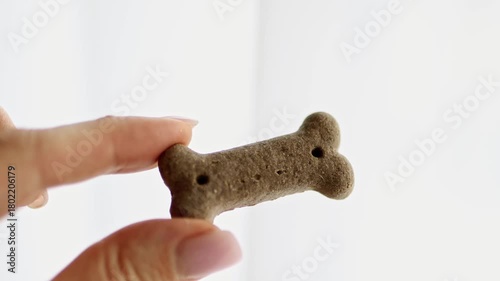 Hand holding a small healthy dog treat shaped like a bone. Natural pet snack enriched with vitamins and nutrients. Superfood for dogs, training reward, or daily health supplement.