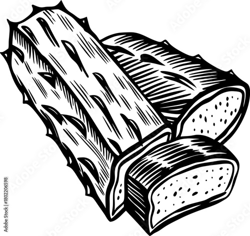 Aloe vera plant cross section illustration detailed hand drawn succulent leaves, cut aloe inner gel slices, botanical sketch