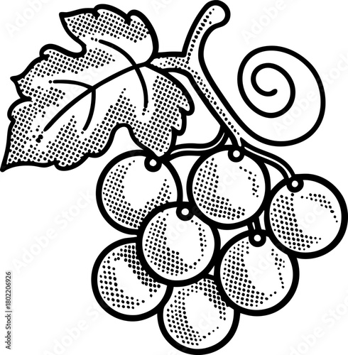Grape bunch illustration with leaf and stem vintage hand drawn botanical fruit design, healthy food ingredient