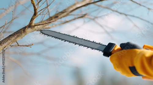 Person trimming tree branch with chainsaw wearing yellow gloves and jacket in outdoor garden