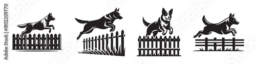 Dog Agility Training: Jumping Over Fences in Silhouette.