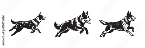 Three Running Dogs in Black and White.