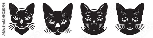 Black Cat Faces: A Collection of Feline Portraits.