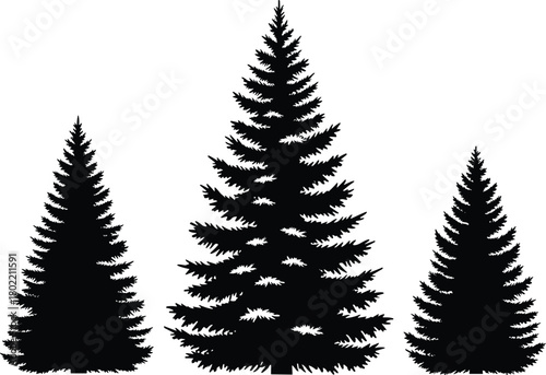 Realistic black silhouettes of three detailed fir, spruce, or pine trees in various sizes, forest nature vector graphics icon set.
