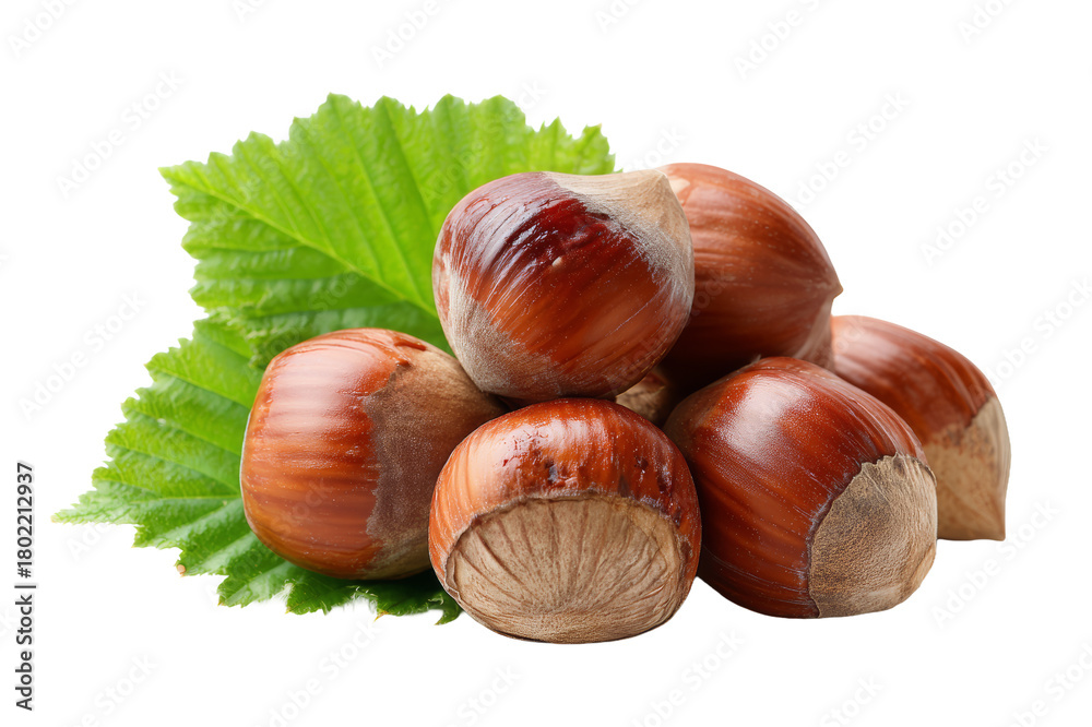 Fototapeta premium Hazelnuts with Green Leaf – Healthy Nuts and Natural Snack