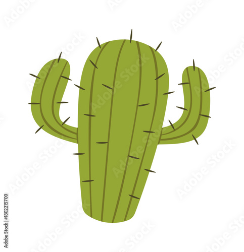 Green prickly cactus desert plant