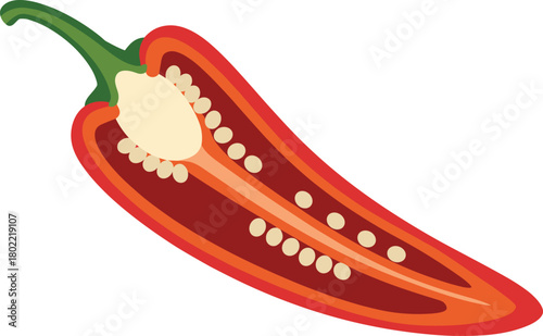 Detailed Cross-Section Vector Illustration of a Red Chili Pepper, Showing Seeds, Placenta, and Inner Structure, Perfect for Cooking Blogs, Food Packaging, Spice, and Heat Concepts.