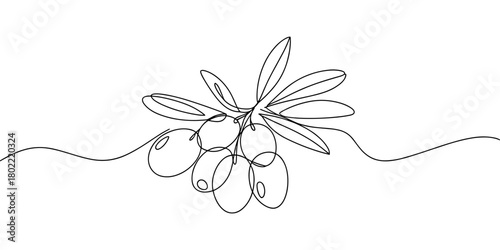 an olive sprig with leaves, representing nature, agriculture, Mediterranean plants, and organic botanical themes.