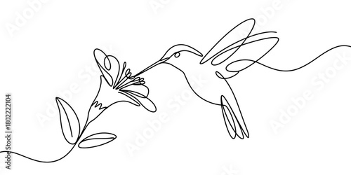 a hummingbird drinking nectar from a blooming flower, perfect for nature design, minimal art, and creative branding uses.