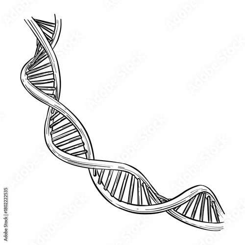 DNA genetic symbol vector line art hand drawn illustration