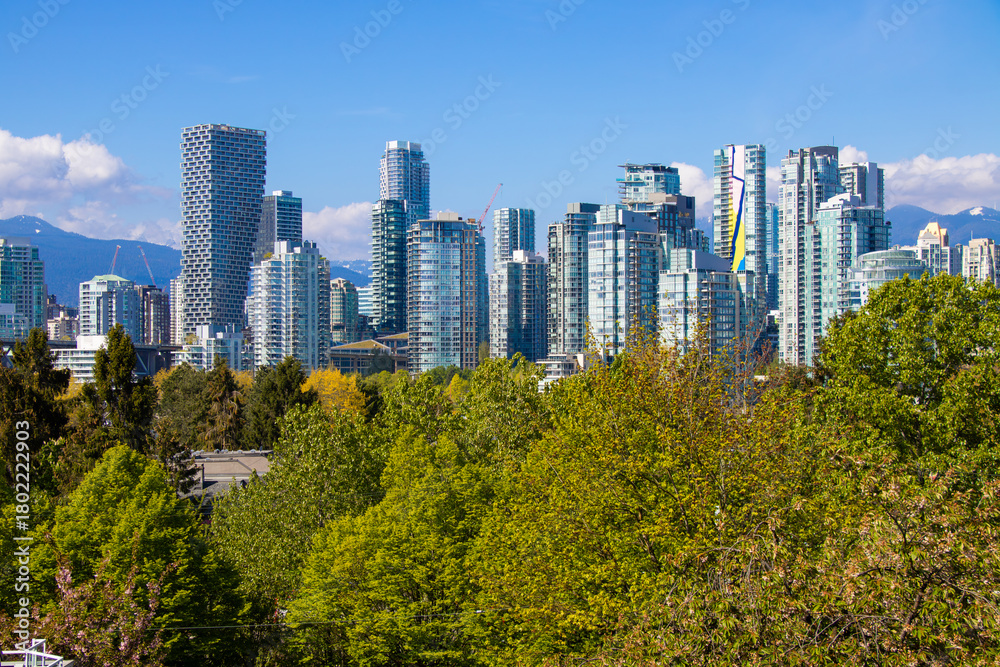 Obraz premium Vancouver City Skyline View over Green Trees on a Sunny Day