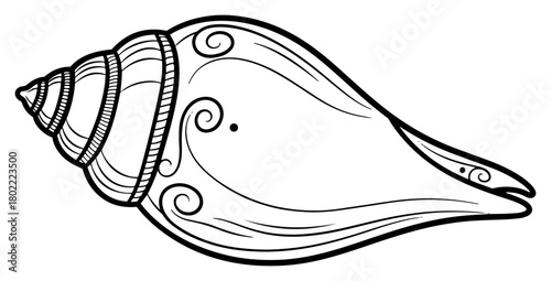 Shankha Conch Shell Vector Illustration Hindu Sacred Symbol Line Art Drawing