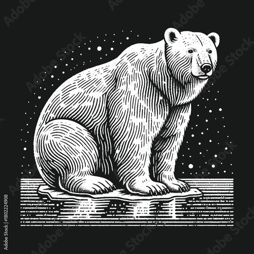 Polar Bear Engraving on Iceberg in Snowy Scene.