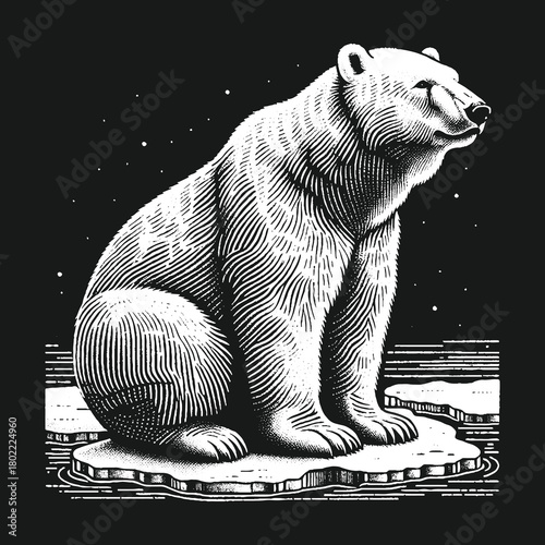 Polar Bear Sitting on Iceberg in Black and White.