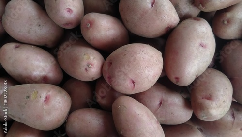 Wallpaper Mural Fresh raw potatoes with natural skin texture, piled in a market display. Close-up organic potatoes perfect for food background, agriculture, farming, and vegetable concepts Torontodigital.ca